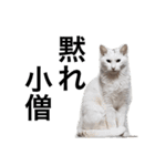 猛将の姫 おこめ（個別スタンプ：17）