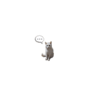 猛将の姫 おこめ（個別スタンプ：18）