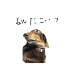 ナイス達郎（個別スタンプ：2）