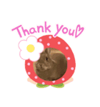 ピピの日々（個別スタンプ：3）