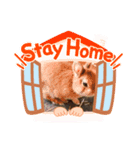 ピピの日々（個別スタンプ：4）