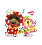 トイプー❤️ショコロン❤️毎日用（個別スタンプ：7）