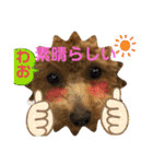 トイプー❤️ショコロン❤️毎日用（個別スタンプ：14）