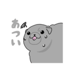 パグスタ(ずちゃ（個別スタンプ：9）