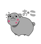パグスタ(ずちゃ（個別スタンプ：12）