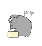 パグスタ(ずちゃ（個別スタンプ：13）