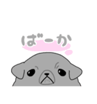 パグスタ(ずちゃ（個別スタンプ：17）
