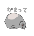 パグスタ(ずちゃ（個別スタンプ：21）