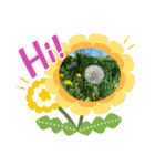 お花いっぱいのスタンプです（個別スタンプ：14）