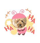 お花いっぱいのスタンプです（個別スタンプ：15）