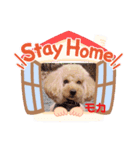 トイプのモカちゃんでぇ〜す（個別スタンプ：2）