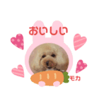 トイプのモカちゃんでぇ〜す（個別スタンプ：3）