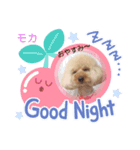 トイプのモカちゃんでぇ〜す（個別スタンプ：6）