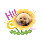 トイプのモカちゃんでぇ〜す（個別スタンプ：7）