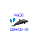 色んな動物のスタンプ2020（個別スタンプ：2）