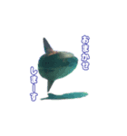 色んな動物のスタンプ2020（個別スタンプ：7）