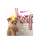 くっく〜♂（個別スタンプ：5）