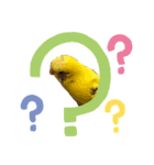 癒されインコのかわいいスタンプ①（個別スタンプ：5）