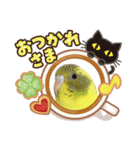 癒されインコのかわいいスタンプ①（個別スタンプ：6）