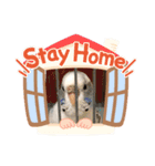 癒されインコのかわいいスタンプ①（個別スタンプ：8）