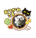 うちのまろ2（個別スタンプ：2）