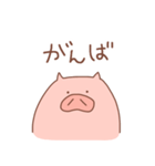 省エネこぶたの省ぶたたん（個別スタンプ：8）