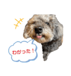 くうちゃんだよ③（個別スタンプ：2）