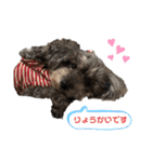 くうちゃんだよ③（個別スタンプ：40）