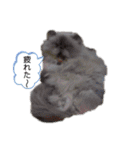 白太郎とアトム（個別スタンプ：20）