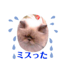 白太郎とアトム（個別スタンプ：23）