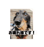 むぎっくす2（個別スタンプ：9）