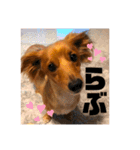 むぎっくす2（個別スタンプ：14）