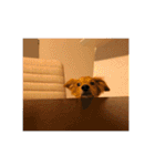 むぎっくす2（個別スタンプ：31）