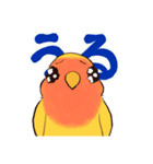 うちの子モデルのコザクラインコさん（個別スタンプ：5）