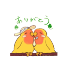 うちの子モデルのコザクラインコさん（個別スタンプ：6）