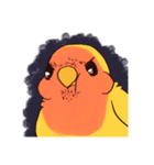 うちの子モデルのコザクラインコさん（個別スタンプ：7）