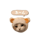 たぬもた⑤（個別スタンプ：5）