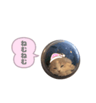 たぬもた⑤（個別スタンプ：6）