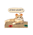 たぬもた⑤（個別スタンプ：8）