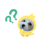 ぷうたろうでございます。No.5（個別スタンプ：3）