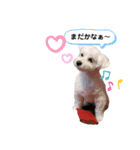 ぷうたろうでございます。No.5（個別スタンプ：6）