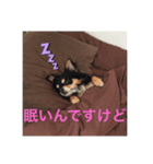 ラッキー＆ハッピーの日常（個別スタンプ：5）