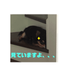 ラッキー＆ハッピーの日常（個別スタンプ：6）