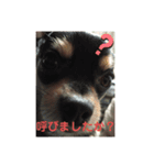 ラッキー＆ハッピーの日常（個別スタンプ：7）