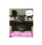 あなたの心に癒しを届けます（個別スタンプ：3）