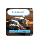あなたの心に癒しを届けます（個別スタンプ：4）