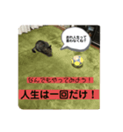 あなたの心に癒しを届けます（個別スタンプ：5）