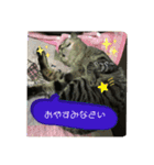 あなたの心に癒しを届けます（個別スタンプ：6）