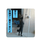 あなたの心に癒しを届けます（個別スタンプ：7）