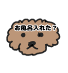 トイプー 子供に送る2（個別スタンプ：1）